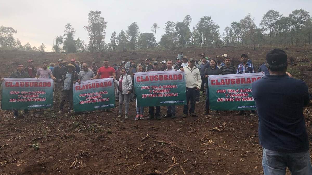 Consejo de Ecología de Michoacán. Protesta contra la tala ilegal