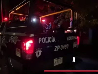 Policía de Zapopan halló los restos de un cuerpo calcinado devorado por dos perros