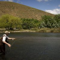 Contundente denuncia de pescadores: “Cada vez hay menos accesos a las costas”