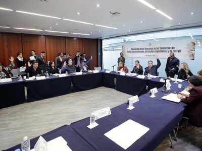Morena y aliados aprueban la reforma energética en comisiones del Senado