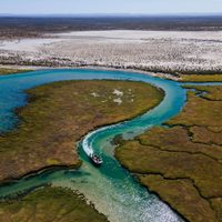 Un refugio salvaje en la Patagonia: escapada invernal a Bahía Bustamante