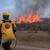 Incendios en Corrientes: casi un millón de hectáreas fueron afectadas