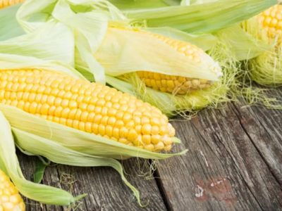 No compres más y cultivá tu propio choclo en maceta con este truco de los jardineros que no falla