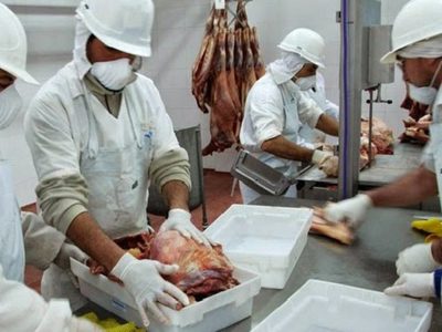 Matarifes solicitan levantar restricciones de la industria del Cuero