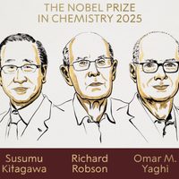 Dieron a conocer a los ganadores del Premio Nobel de Química
