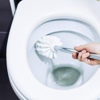 No tires las cáscaras de limón: mirá cómo las podés usar para eliminar el sarro y mal olor de tu inodoro en segundos