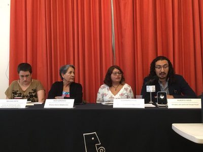 ONG piden a AMLO brindar garantías a ambientalistas