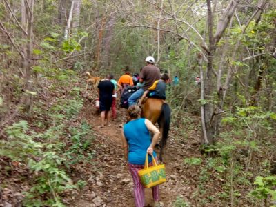Miles de personas de 12 comunidades de Chiapas huyen de la violencia y el crimen organizado