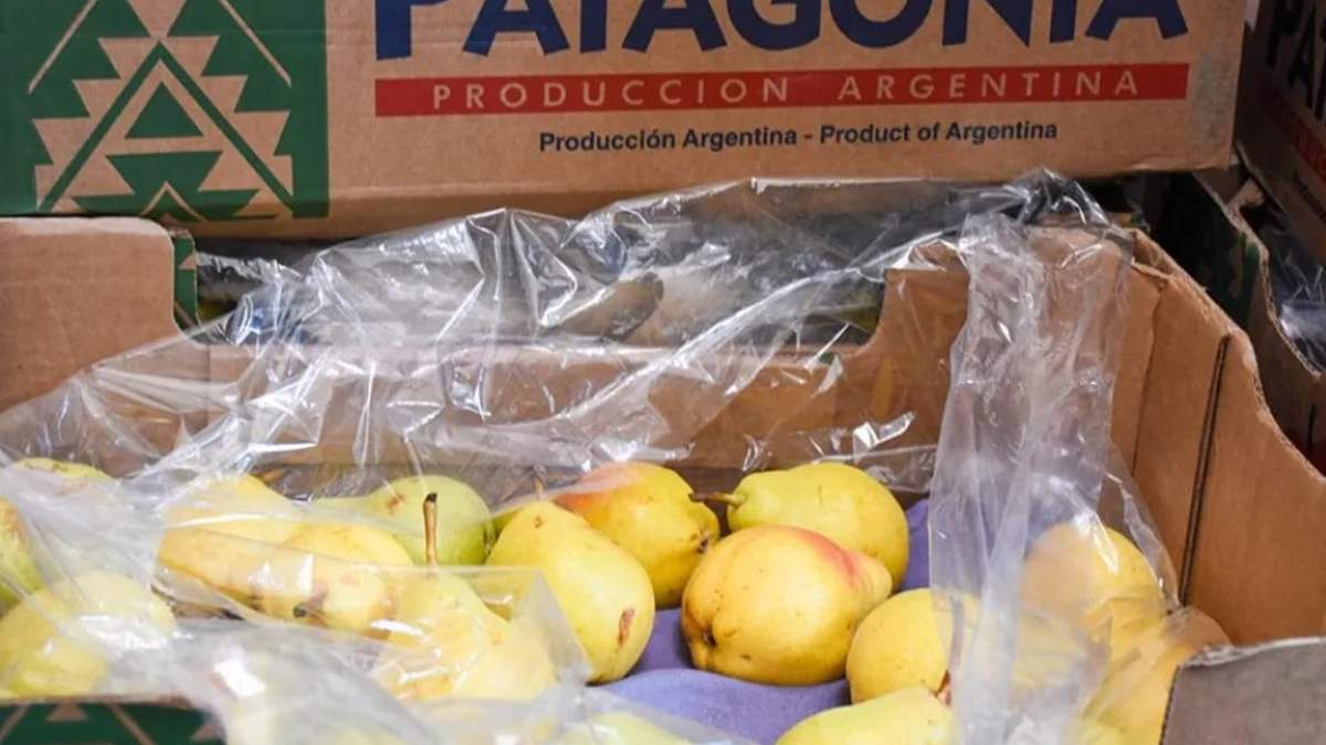 El programa busca mejorar el refrigerio de los estudiantes de escuelas públicas de la provincia. Fuente: (Gobierno de Neuquén)