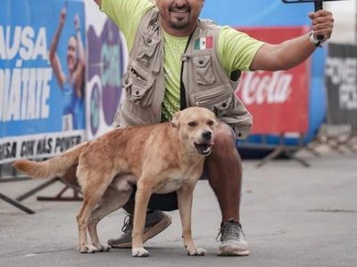 Muere envenenado “Chicles”, el perrito ganador de maratones en Tijuana