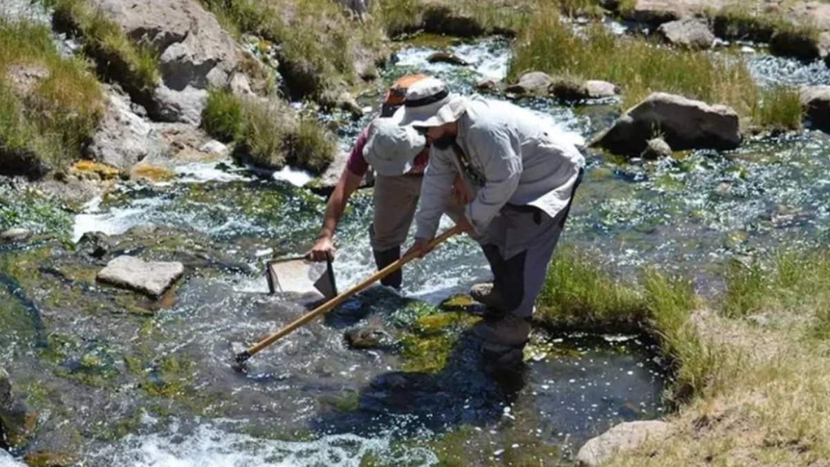 La nueva especie de crustáceo fue hallada en el cauce del arroyo Aguas Calientes. Fuente: (Facebook)