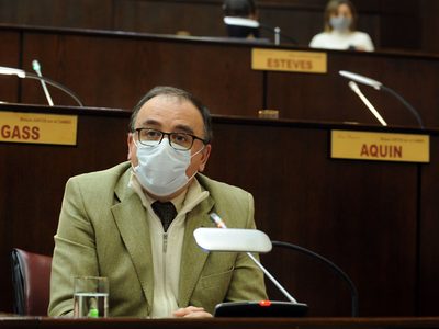 Carlos Coggiola presentó un proyecto para terminar el Ferrocarril Trasandino del Sur