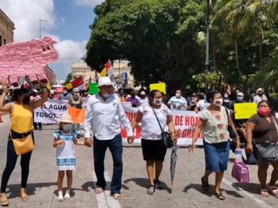 Juez federal ratifica suspensión de la mega granja porcina en Yucatán