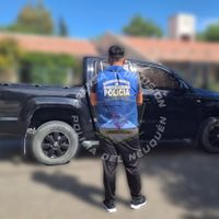 Secuestraron una camioneta adulterada y un arma en el barrio Carnaghi