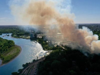 Río Limay: bomberos pudieron controlar un incendio cerca del Paseo costero