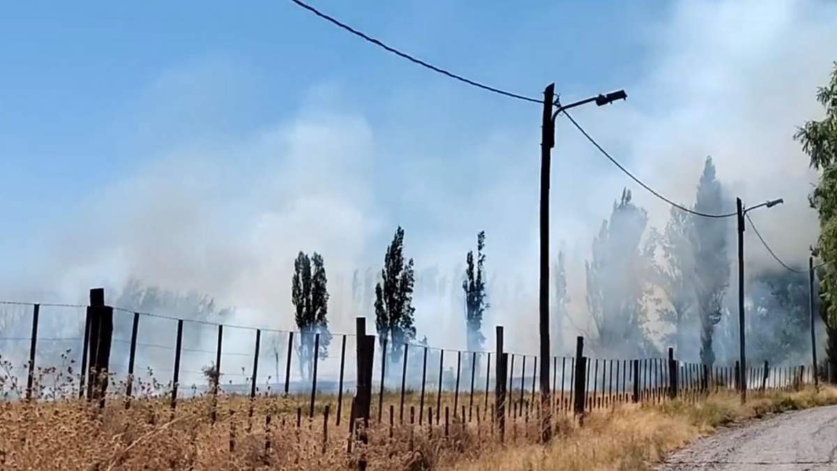 El fuego se propagó por calle Chocón al fondo. Fuente: (X - @lucasjaranqn)