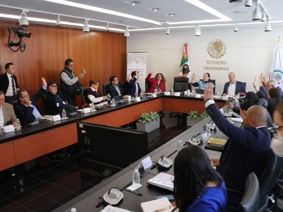 Sin la oposición, el Plan B de AMLO avanza en la Comisión de Gobernación del Senado