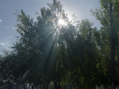 Clima en Neuquén: bajan las temperaturas máximas y mejoran las condiciones este sábado