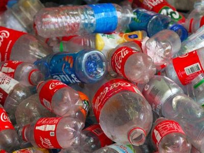 No tires las botellas de gaseosa de plástico: mirá estas 5 ideas fáciles para transformarlas en decoración para tu casa