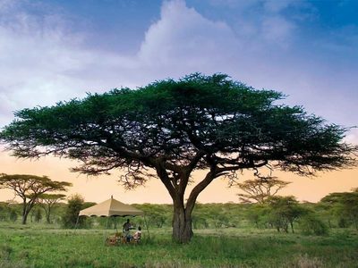 Los destinos turísticos de naturaleza fueron los más elegidos por los viajeros