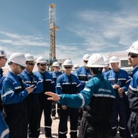 Phoenix Global Resources refuerza su apuesta por Vaca Muerta con una inversión de 2.000 millones de dólares