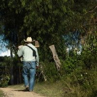 British Petroleum se aprovecha de campesinos mexicanos mediante un programa ambiental: Bloomberg