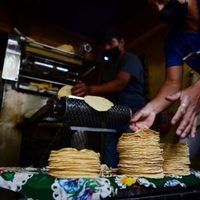 "Nada más saben subirle": Profeco responsabiliza a Maseca por altos precios de la tortilla