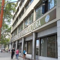 El fuerte impacto que tendrá en Mendoza la última medida de Milei