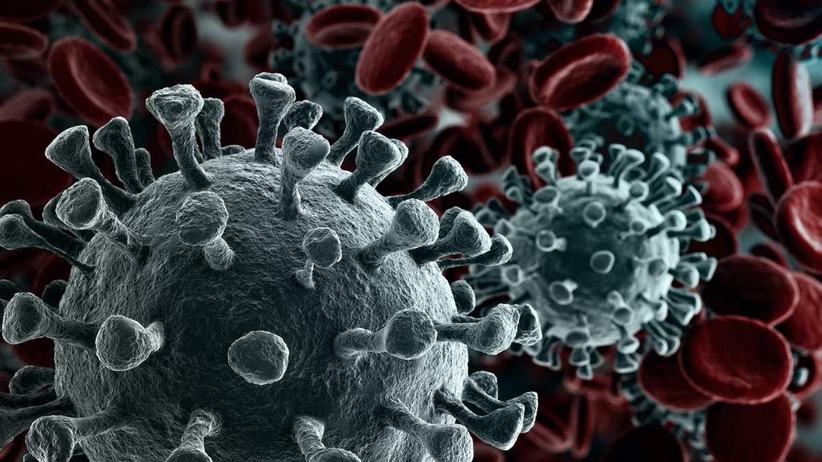 Coronavirus. Fuente: (Twitter)