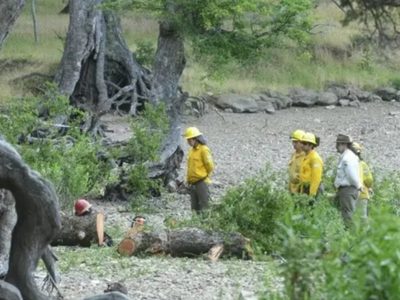 Solicitaron 3 años de prisión para los cuatro guardaparques imputados por el caso Lolen