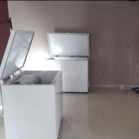 Matanzas, desmembramientos, secuestros... vuelve el terror en Veracruz