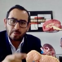 Diabetes: la UNAM explica qué es y los parámetros de glucosa saludables