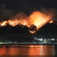 Incendio forestal en Japón ha causado daños a decenas de hogares y obligado a cientos a evacuar