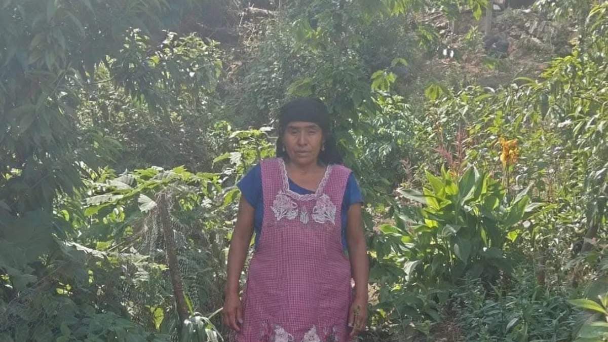 Reynalda, una mujer ayuuk de San Sebastián