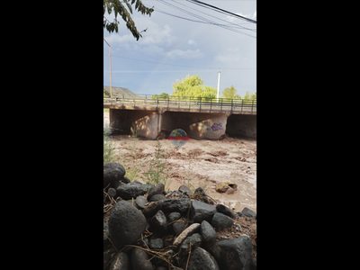 20 minutos de tormenta alcanzaron para que se inundara Rincón de los Sauces
