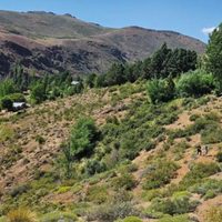 Neuquén lanza créditos de hasta 30 millones de pesos para escriturar tierras fiscales