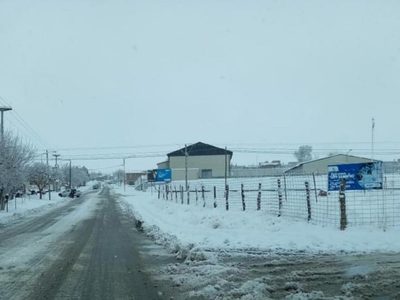 Temporal de nieve en Zapala: Municipalidad asiste a familias afectadas