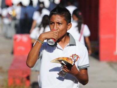 OMS pide a los colegios que ofrezcan una alimentación saludable a los alumnos
