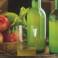 En San Patricio del Chañar, lanzan un curso para elaborar sidra artesanal