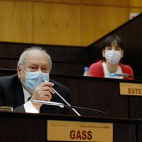 César Gass lamentó la renuncia de Peláez, a quien considera un hombre valiosísimo