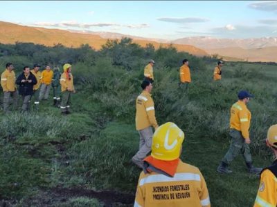 La rápida intervención de brigadistas permitió sofocar un incendio de vegetación en el norte de Neuquén