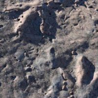 Hallaron huellas de dinosaurios en Picún Leufú
