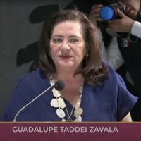 Taddei defiende a los OPLE, en riesgo por la reforma electoral