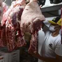 Cae la compra de alimentos y aumentan los gastos en impuestos y servicios
