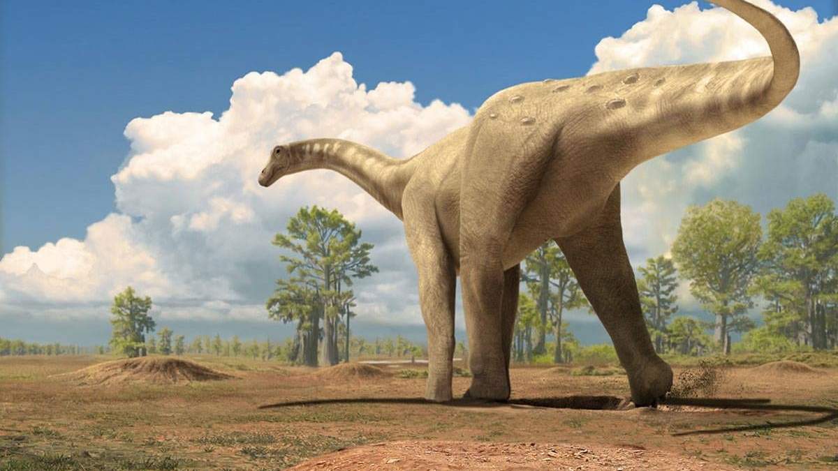 Saurópodo