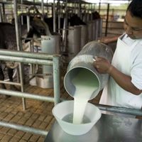 Aumento de la leche: el Gobierno toma una medida que va a dar que hablar