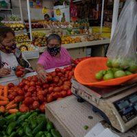 Trump ahora va contra el tomate mexicano: EU alista arancel del 20.91%