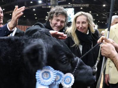 Anunciará baja de retenciones a la carne