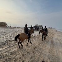 Agrupamiento Montado de la Guardia Estatal brinda seguridad en La Pesca