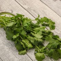 La forma simple de cultivar por siempre perejil o cilantro en una botella y sin maceta ni tierra